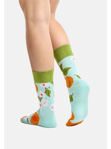 Dedoles 1 Paar Socken Roter Panda unterschiedliches Design in Türkis