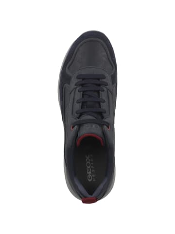 Geox Sneaker low U Damiano A in dunkelblau