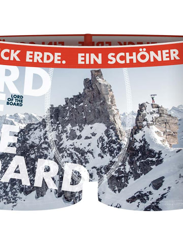 EIN SCHÖNER FLECK ERDE M LORD OF THE BOARD BOXER in Dunkelgrau