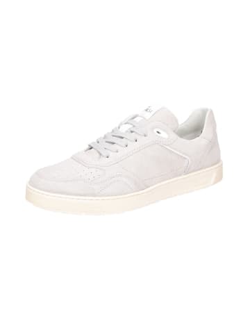 Sioux Schnürschuhe  Sportlich in grau