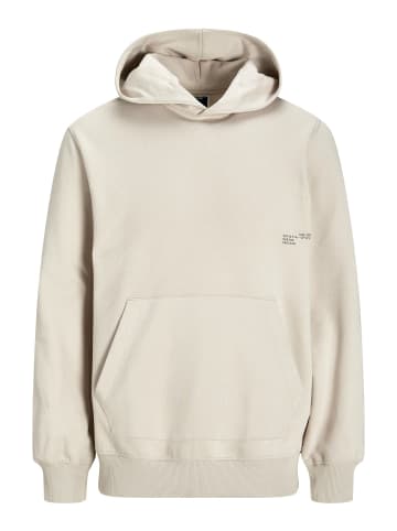 Jack & Jones Kapuzenpullover in Chateau Gray