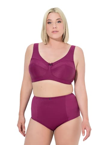 Ulla Popken Entlastungs-BH in fuchsia pink