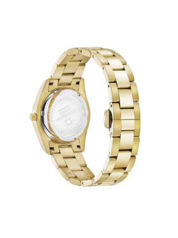 Swiss Military Quarzuhr 7716.1116SAM in Gold