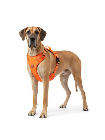 Reichstadt Reichstadt  Hundegeschirr  25RSP083 Orange L