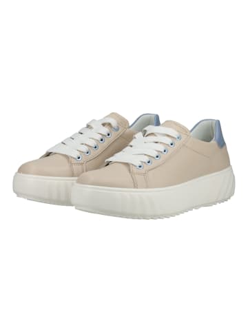 ara Sneaker in Beige/Blau