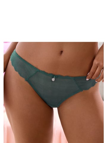 Vivance by Lascana String in khaki