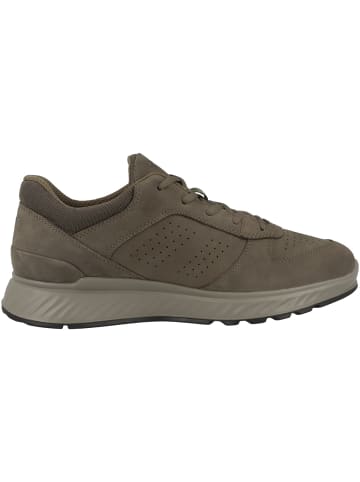 Ecco Sneaker low Exostride in gruen