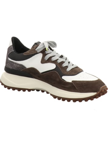 Floris van Bommel Sneaker Low in grün