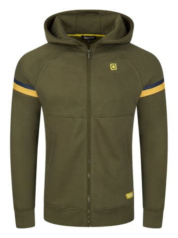 riverso  Sweatjacke RIVDanilo in Grün