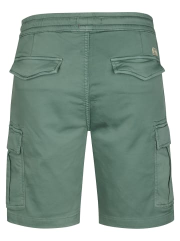Petrol Industries Cargo-Shorts Sunstorm in Grün