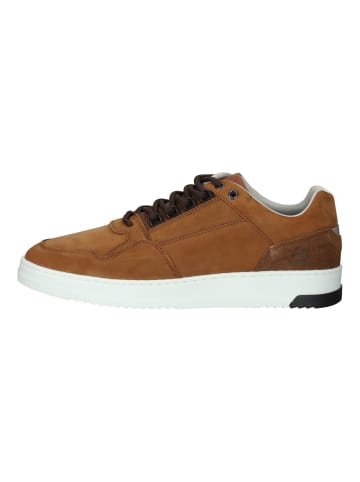 Bullboxer Sneaker in Braun