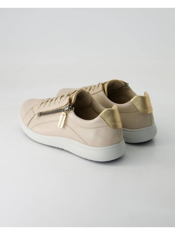 Josef Seibel Sportliche Schnürschuhe in Beige