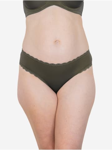 SugarShape String PUREBASIC in olive