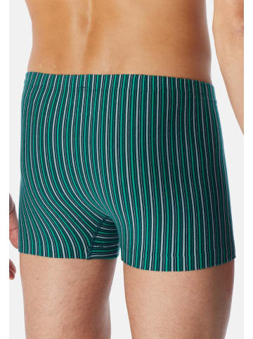 Schiesser Retro Short / Pant 95/5 Essentials in Blau / grün