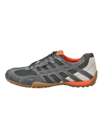 Geox Sneaker in Grau