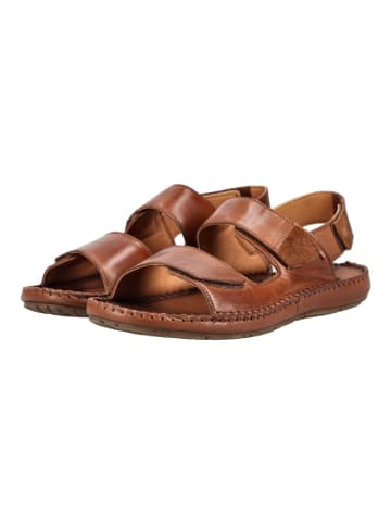 Pikolinos Sandalen Braun