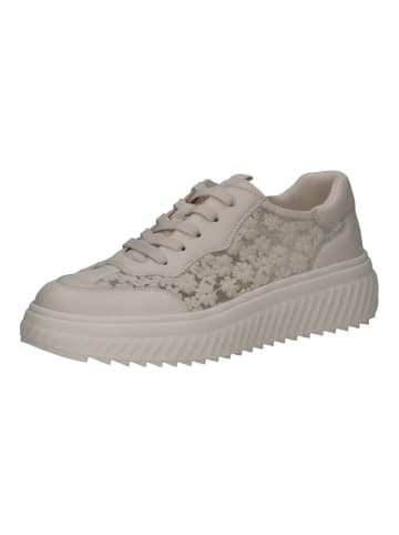 Caprice Sneaker in Vanilla