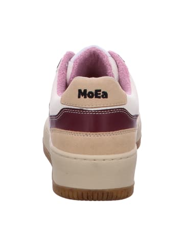 MoEa Sneaker Low in Beige