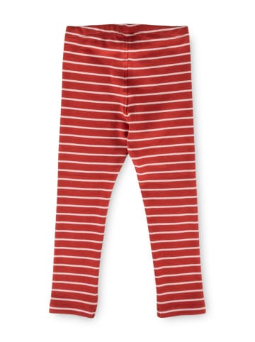Sigikid Leggings in rot