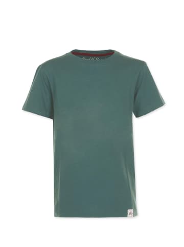 Band of Rascals T-Shirt " Basic " in cilantro-green