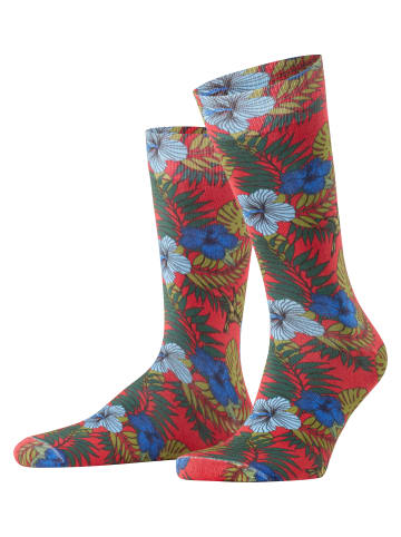 Falke Socken Tropical Herren in Red pepper