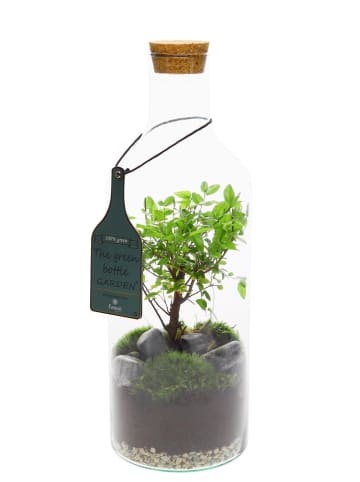 MeinVIPShop Flaschengarten Bonsai 43cm