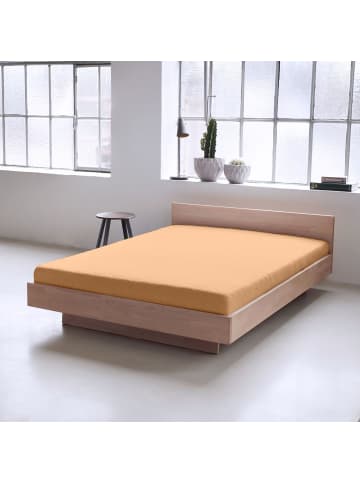 Dormisette Spannbetttuch Flanell in beige