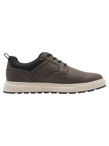 Marco Tozzi Sneaker in TAUPE COMB