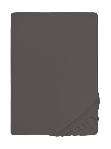 Biberna Spannbetttuch Jersey-Elastic Boxspring in dunkelgrau