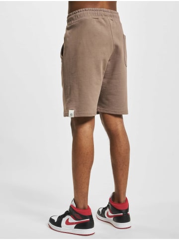 Alpha Industries Alpha Industries Cargo Shorts in brown