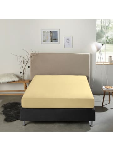 REDBEST Single-Jersey Boxspring-Spannbettlaken Denver in hellgelb