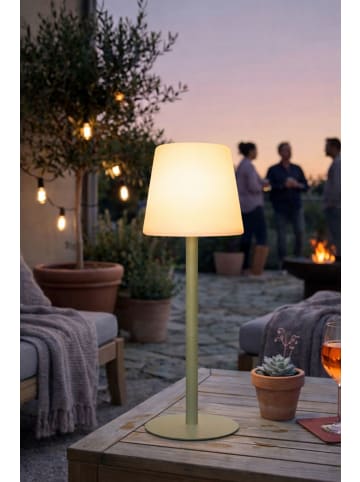 Coen Bakker LED Tischlampe Multicolor Innen & Außen 40x15cm in Grün