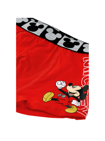 Disney Unterwäsche Minnie Mouse in rot