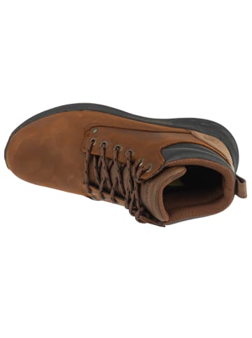 Skechers Skechers Parson - Ederic in Braun