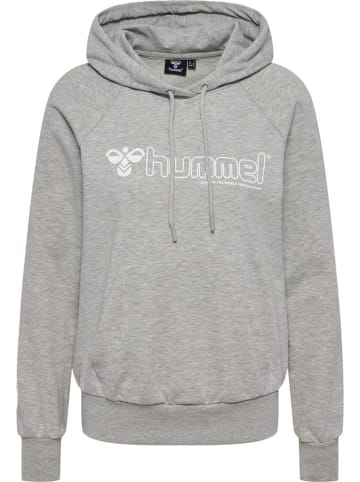Hummel Hoodie in Grau