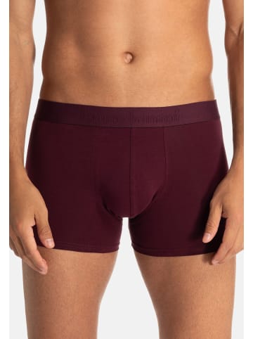 Bruno Banani Retro Short / Pant Flowing in Dunkelrot / schwarz