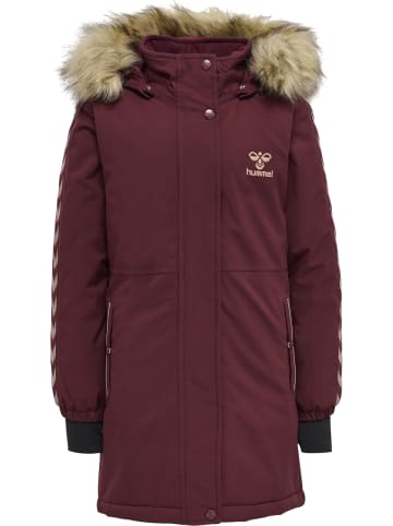 Hummel Mantel Daumenlöcher Hmlleaf Lebensstil Mädchen in WINDSOR WINE