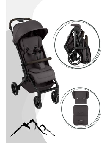 ABC-Design ABC Design Ping 3 Trekking Buggy - Farbe: Falcon