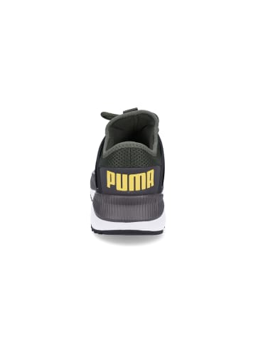 Puma Sneaker in grün