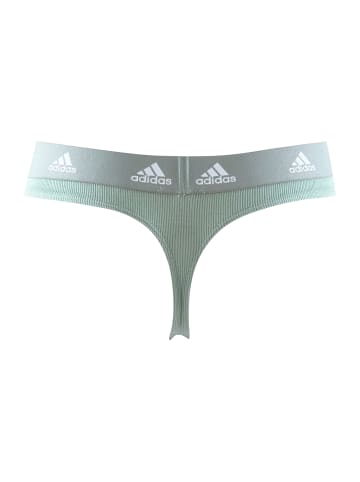 adidas Tanga Thong in oliv