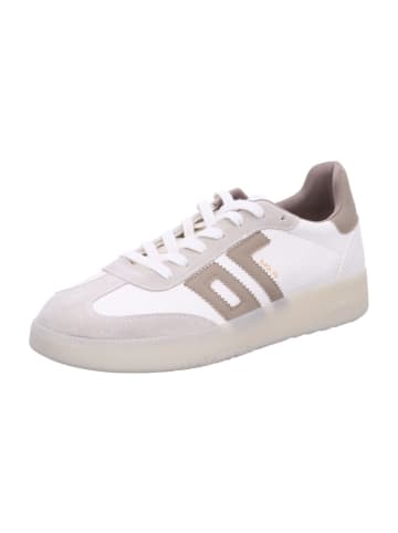 Back 70 Sneaker Boston in TAUPE