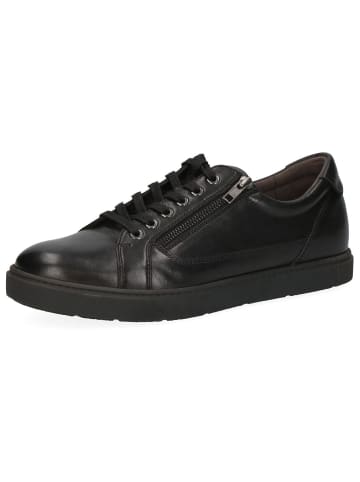 Caprice Sneaker in BLACK/BLACK