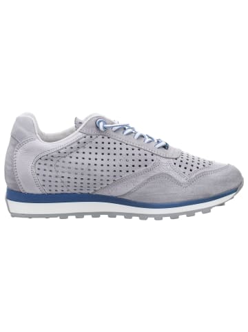 Cetti Sneaker in grau