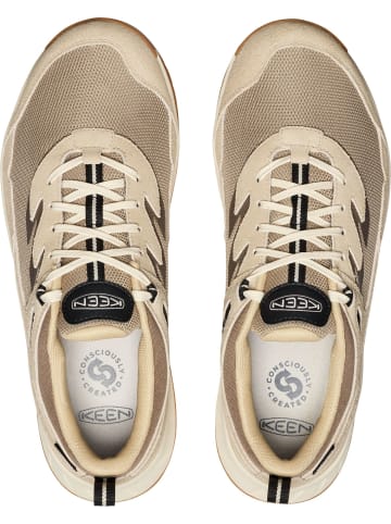 Keen Sneaker "HIGHTRAIL WP M" in Braun/Birke
