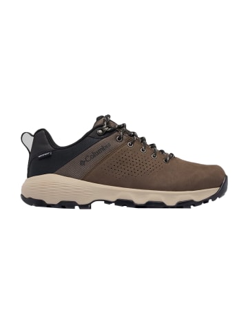 Columbia Sneakers Low Newton Nimble LTR in bunt