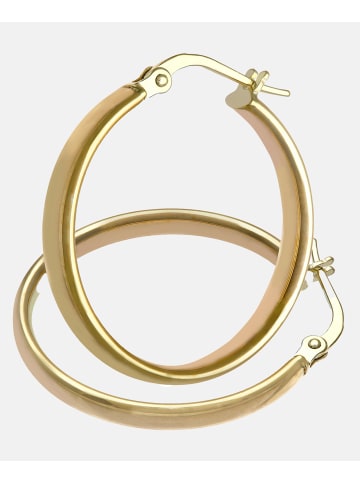 Vanlere Creolen aus 375 Gelbgold