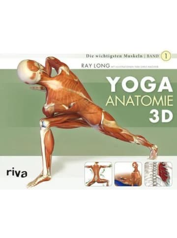 riva Yoga-Anatomie 3D | Band 1: Die wichtigsten Muskeln
