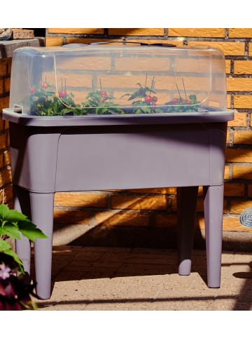 dynamic24 Hochbeet + Deckel 47L Frühbeet Kräuterbeet Pflanzkasten in Anthrazit