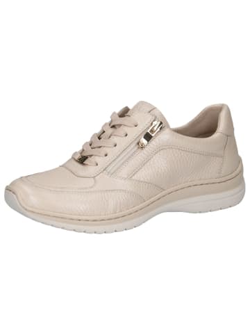 Caprice Sneaker in ECRU PERL.DEER