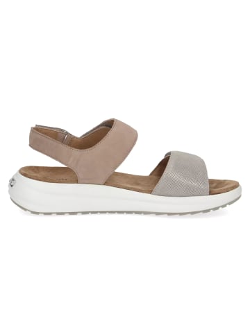 Caprice Keilsandalen für Damen in braun